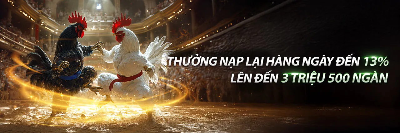 Đá gà kịch tính tại Macao99 APK