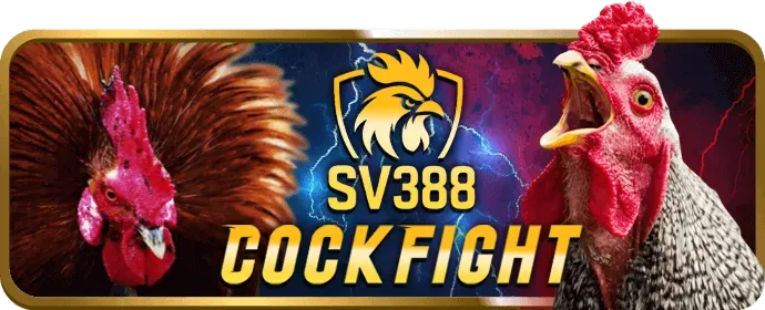Minh họa các bước cài đặt Macao99 APK trên điện thoại Android